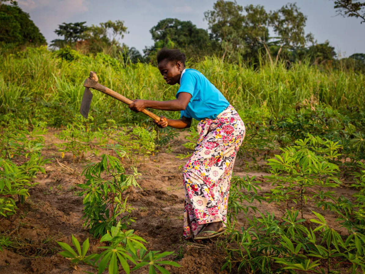 Germaine Kambundi, 46, works in her field where she grows cassava leaves like other displaced people living in Kanzombi.